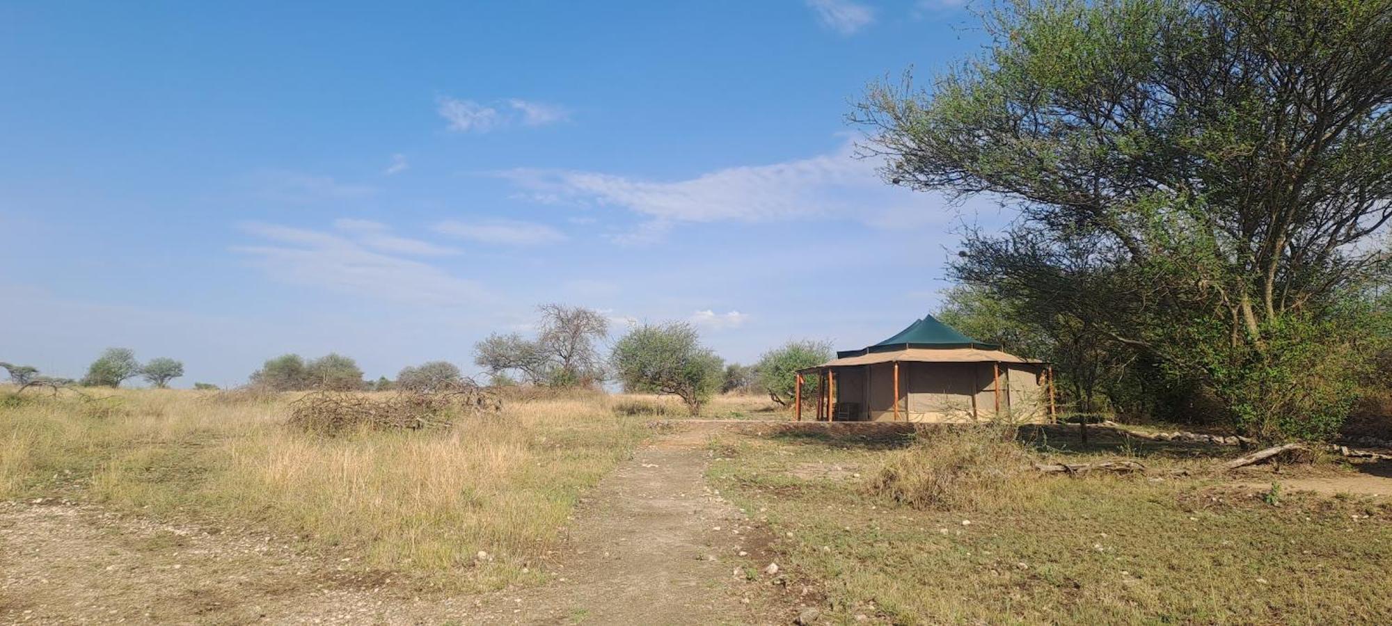 House Of Nature Serengeti Ngoại thất bức ảnh