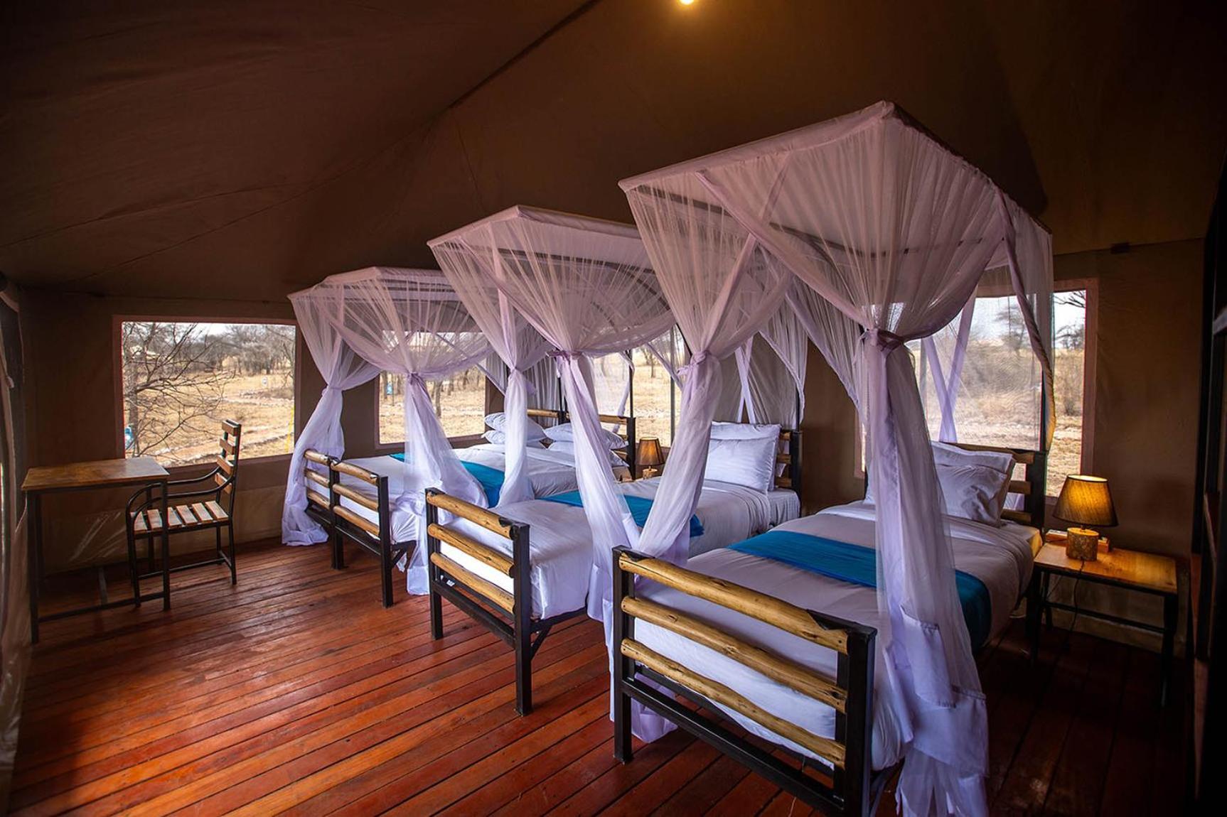 House Of Nature Serengeti Ngoại thất bức ảnh